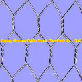 Hexagonal Gabion Wire Netting / Hexagonal Wire Netting / Gabion Mesh ----- Anping 30 ans d&#39;usine